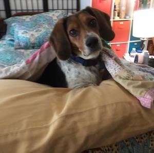 Meet your Posher, Carla